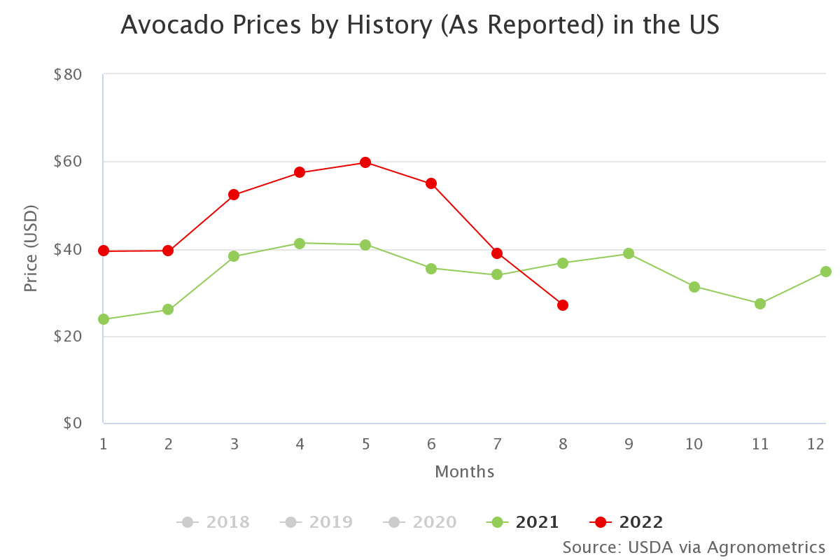 avocado prices by histor 2